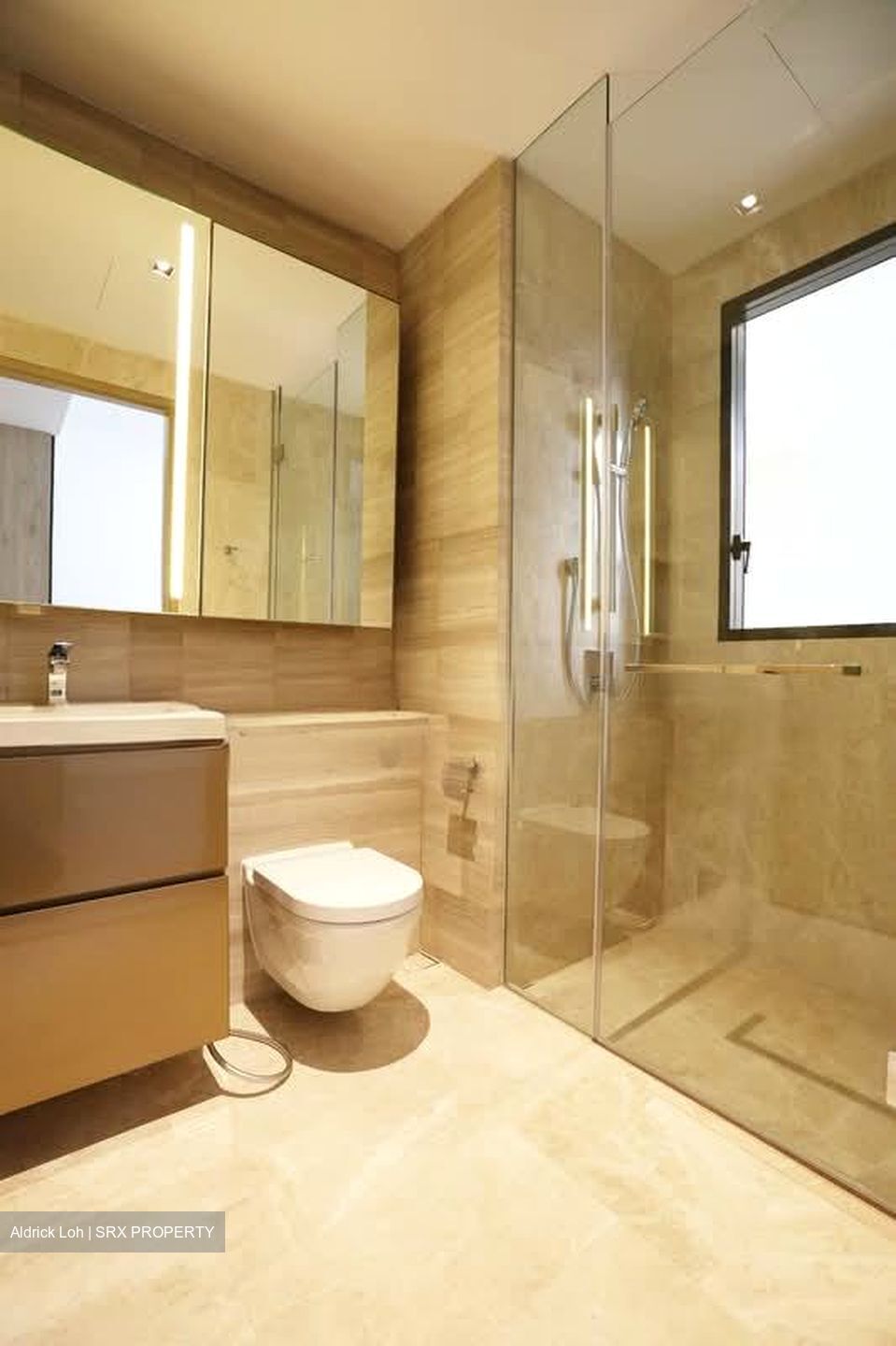 Klimt Cairnhill (D9), Apartment #528956531
